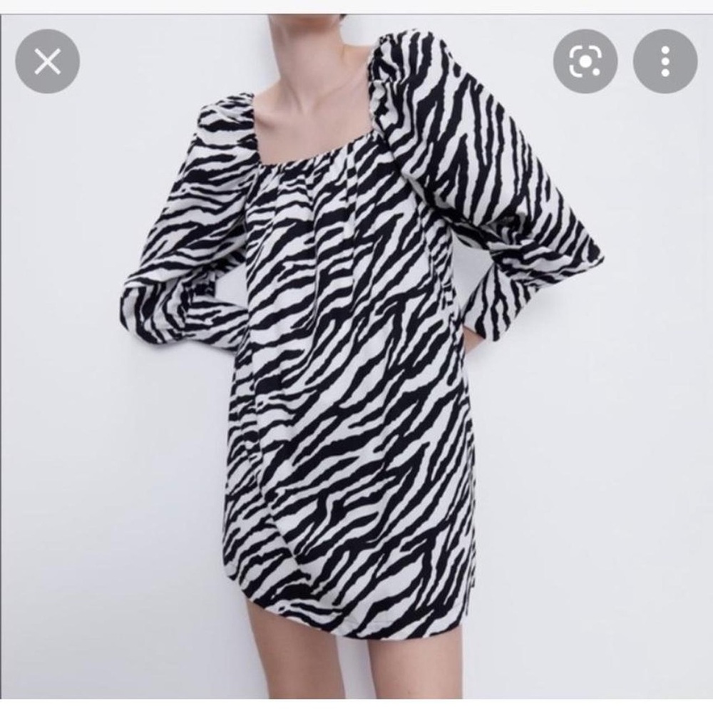 Zara Black and White Zebra Print Dress